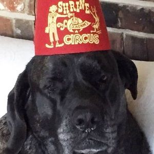 Meet your Posher, Mike